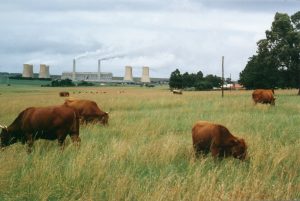 Hendrina Power Station - Heritage