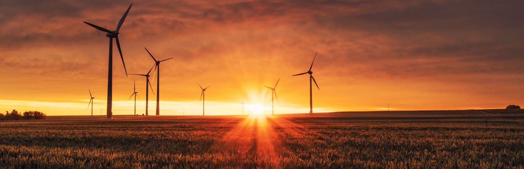 Image of wind turbines