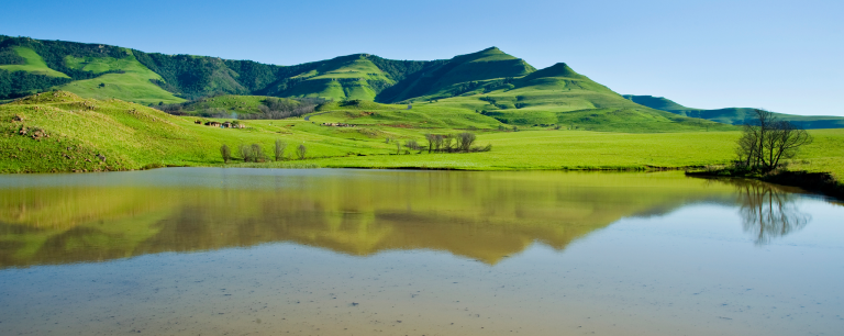 Ingula Nature Reserve has been added to the Ramsar Wetlands of International Importance List